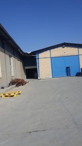 عکس ظروف یکبار مصرف مرادی 