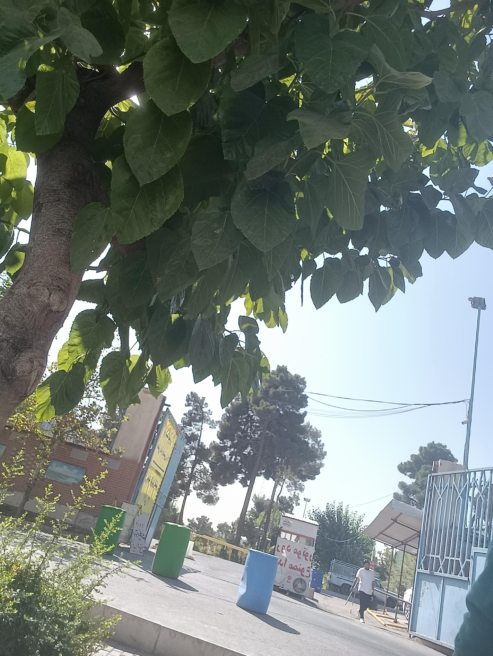 عکس پارکینگ عمومی باغ رضوان مصلی 