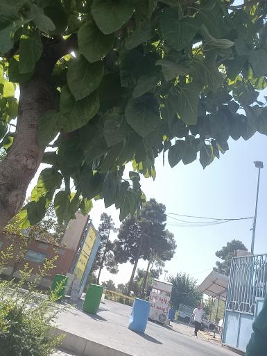 عکس پارکینگ عمومی باغ رضوان مصلی 