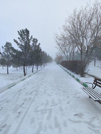 عکس پارک جنگلی ارم