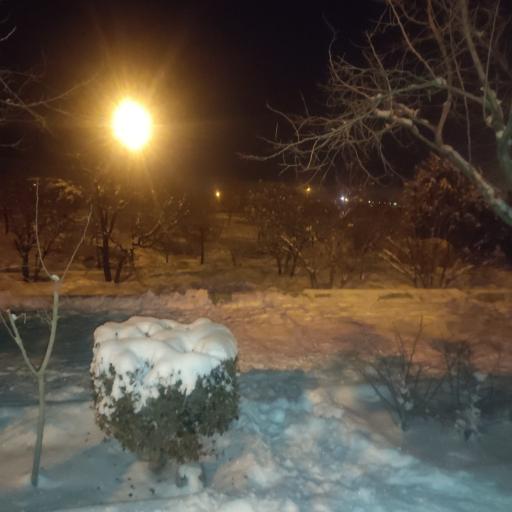 عکس پارک جنگلی ارم