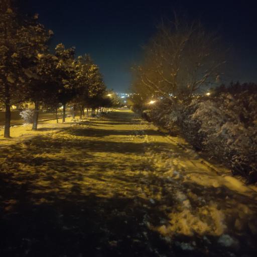 عکس پارک جنگلی ارم