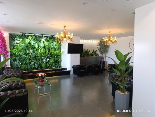 عکس هتل آناشید 