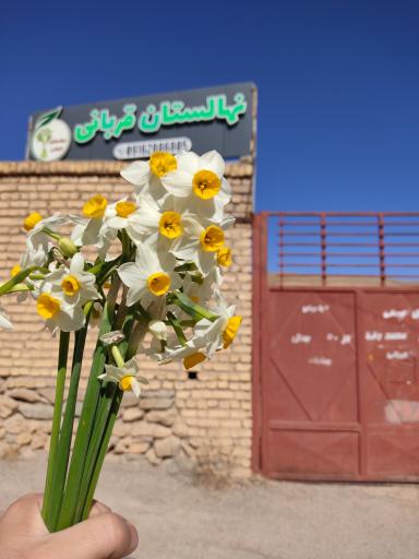 نهالستان قربانی