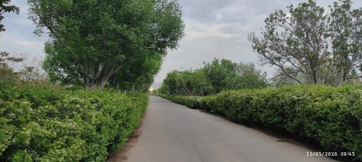 عکس پارک جنگلی ارم