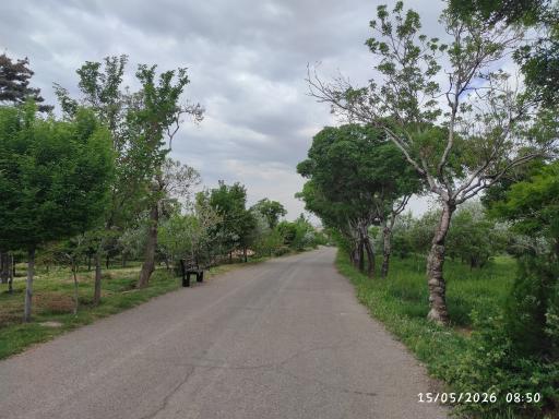عکس پارک جنگلی ارم
