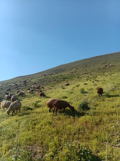 عکس عمارت