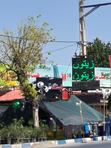 ایستگاه قارچ
