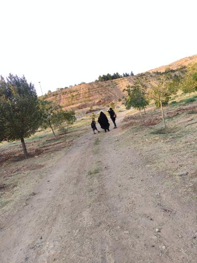 عکس پارک جنگلی ارم