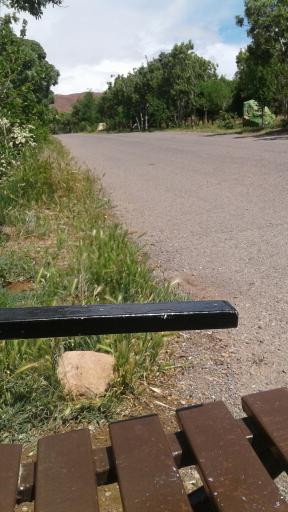 عکس پارک جنگلی ارم