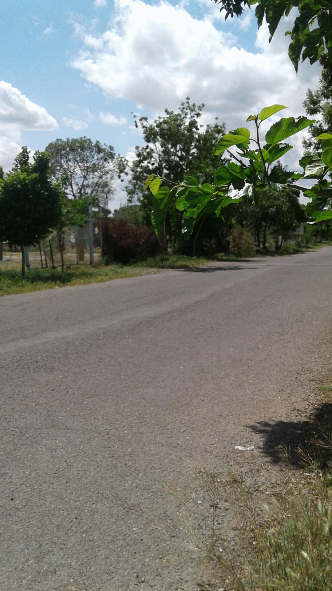 عکس پارک جنگلی ارم