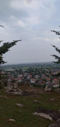 عکس جنگل خانیکان