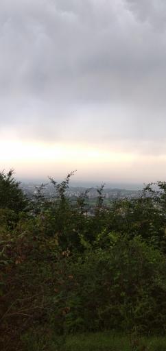 عکس جنگل خانیکان