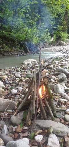 عکس جنگل خانیکان