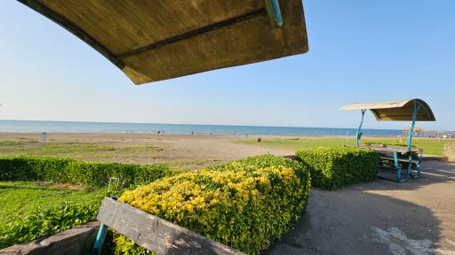 عکس ساحل اختصاصی منطقه گردشگری مطهری 