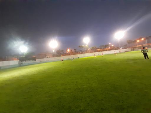 عکس زمین چمن طبیعی مینو