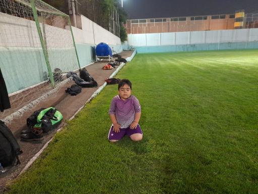 عکس زمین چمن طبیعی مینو