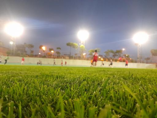 عکس زمین چمن طبیعی مینو