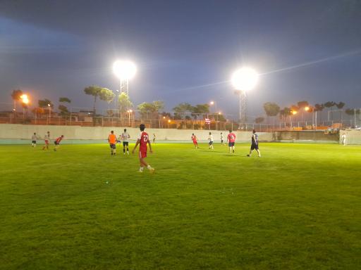 عکس زمین چمن طبیعی مینو