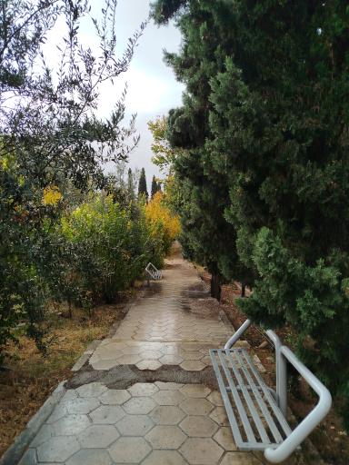 عکس دانشکده داروسازی شیراز