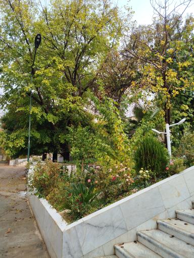 عکس دانشکده داروسازی شیراز