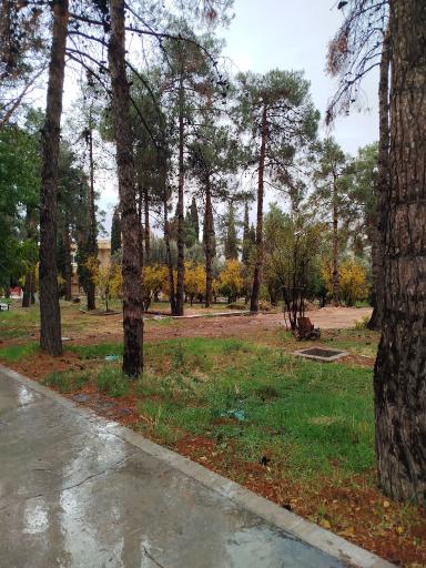 عکس دانشکده داروسازی شیراز