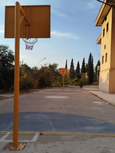 عکس دانشکده داروسازی شیراز