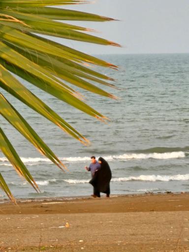 عکس ساحل اختصاصی منطقه گردشگری مطهری 