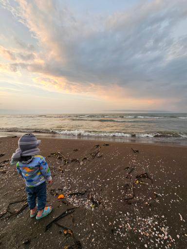 عکس ساحل اختصاصی منطقه گردشگری مطهری 