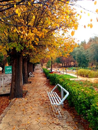 عکس دانشکده داروسازی شیراز