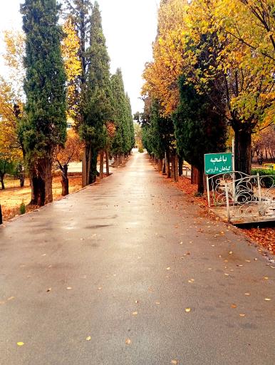 عکس دانشکده داروسازی شیراز