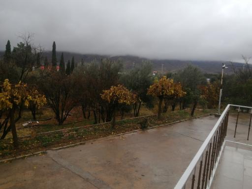 عکس دانشکده داروسازی شیراز