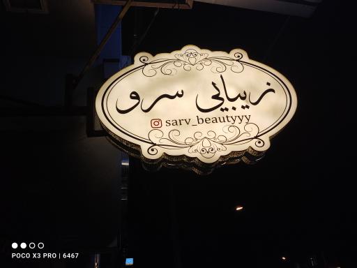 عکس زیبایی سرو 