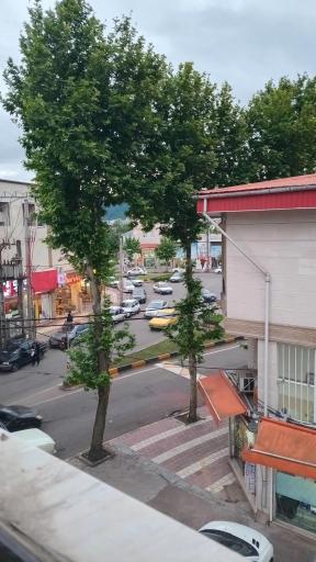 عکس میدان سردار جنگل