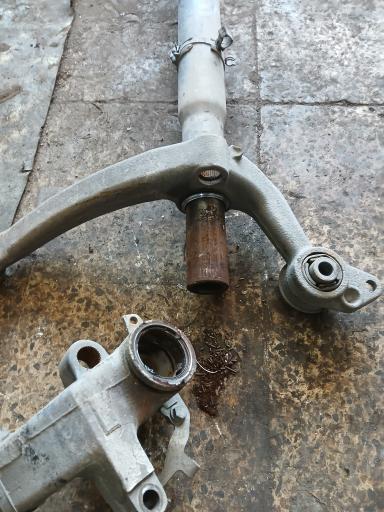 عکس اکسل و گاردان حمید