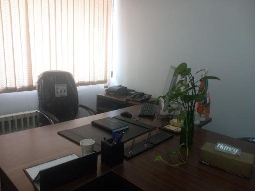 گروه آموزشی محکینو