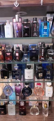 عکس گالری سرزمین شادی