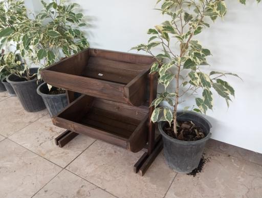 عکس هنرکده خورشید