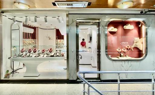 عکس جواهرات سروش