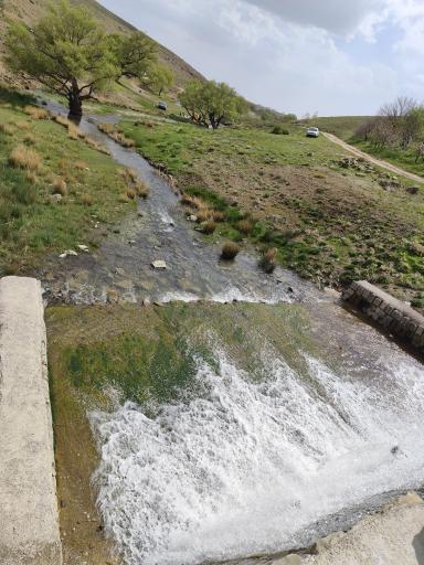 عکس رزن