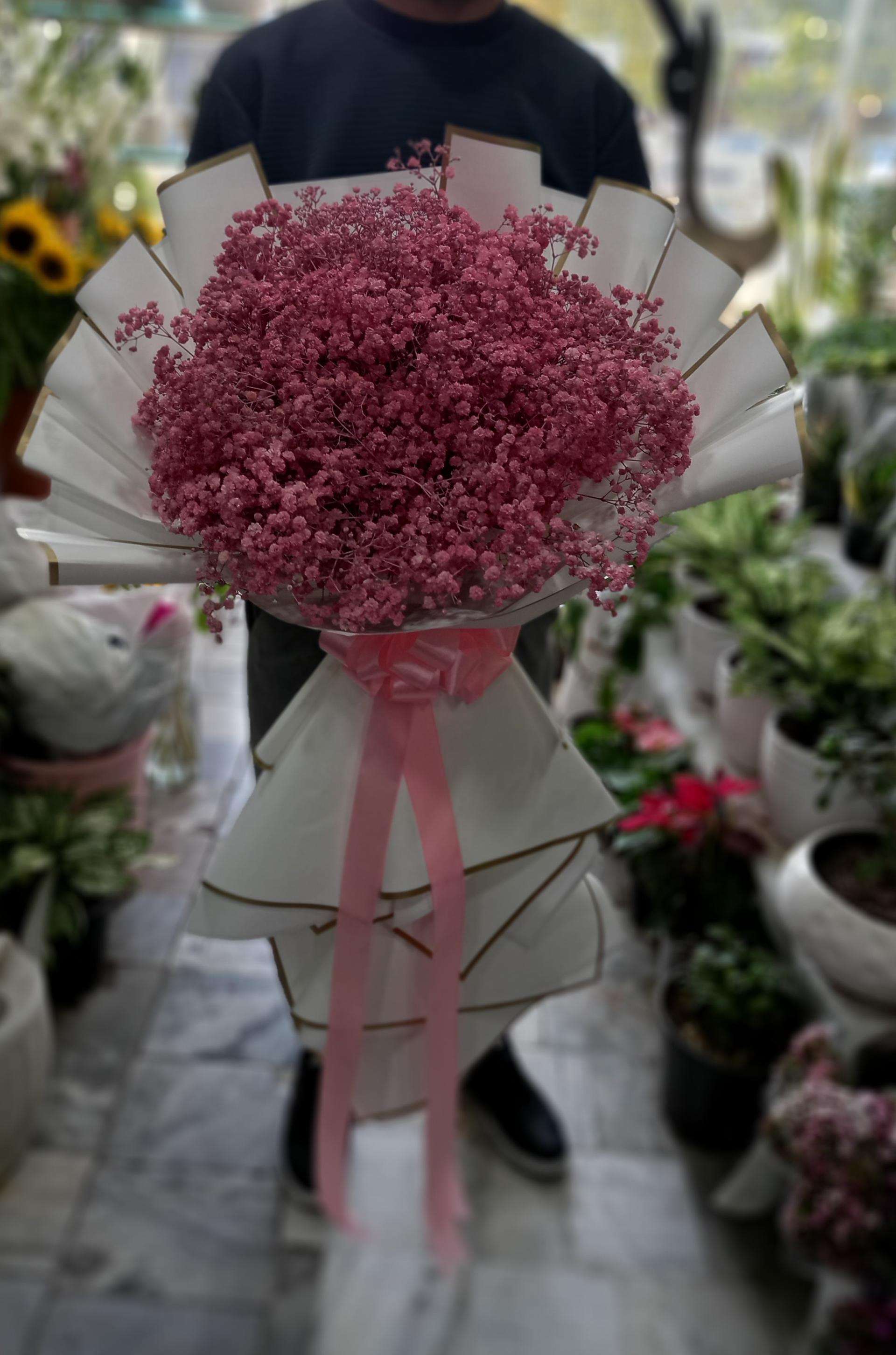 عکس گلسرای یاس