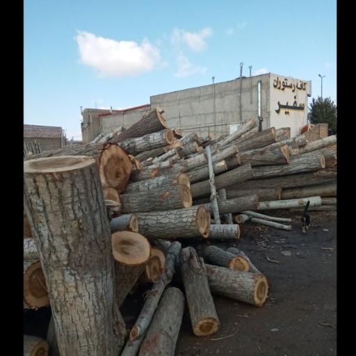 عکس چوب بری و چوب فروشی چوبینه
