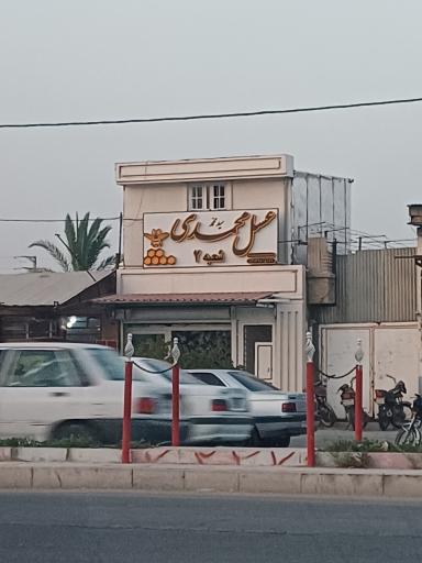 عکس عسل مهدی