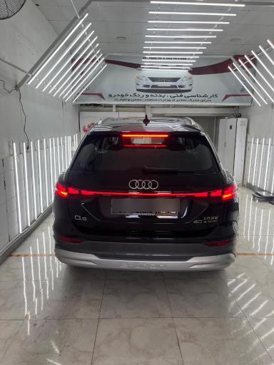 عکس کارشناسی و تشخیص رنگ خودرو کشاورز