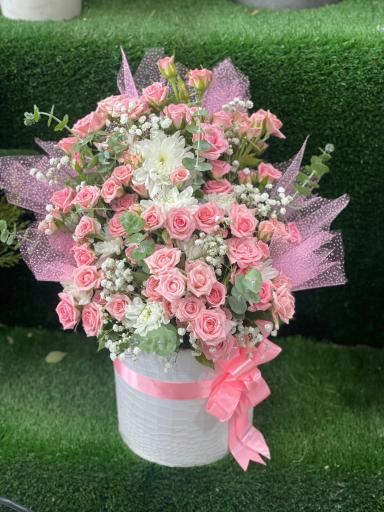 عکس گلسرای یاس