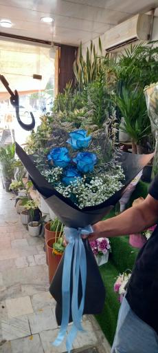 عکس گلسرای یاس