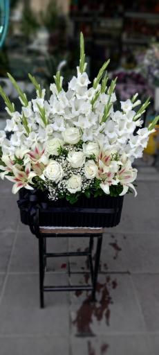 عکس گلسرای یاس