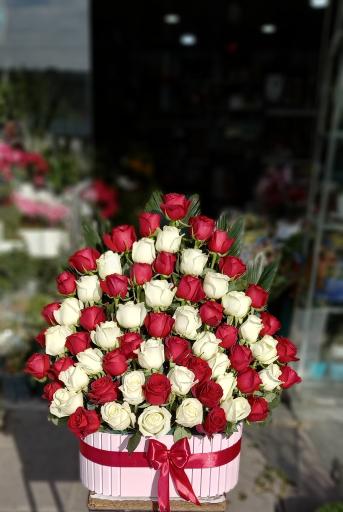 عکس گلسرای یاس