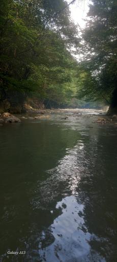 عکس تنگه دار