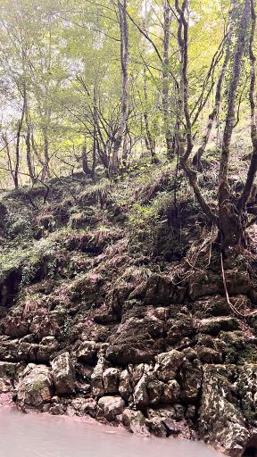 عکس تنگه دار